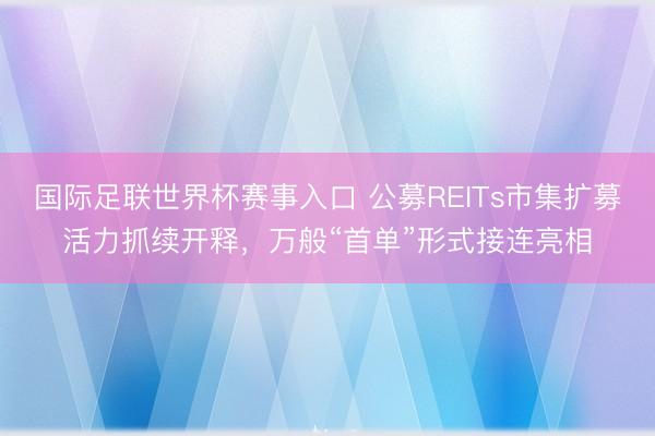 国际足联世界杯赛事入口 公募REITs市集扩募活力抓续开释，万般“首单”形式接连亮相