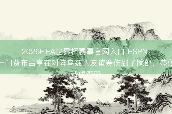 2026FIFA世界杯赛事官网入口 ESPN：荷兰一门费布吕亨在对阵乌兹的友谊赛伤到了髋部，恭候查验