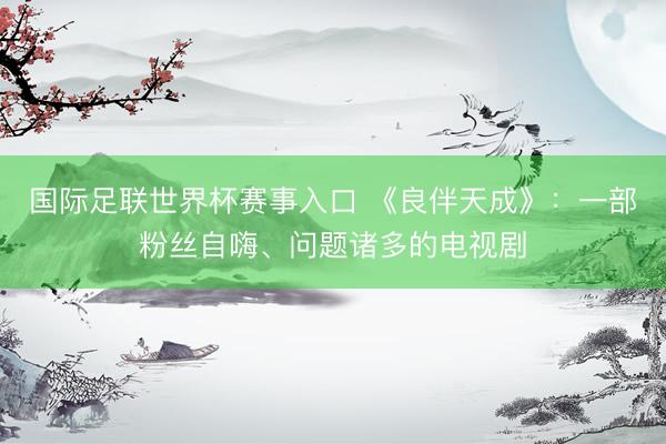 国际足联世界杯赛事入口 《良伴天成》：一部粉丝自嗨、问题诸多的电视剧