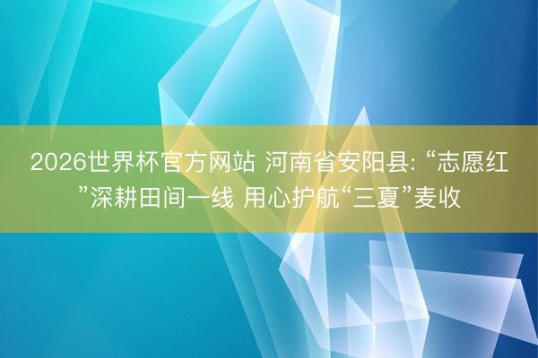 2026世界杯官方网站 河南省安阳县: “志愿红”深耕田间一线 用心护航“三夏”麦收