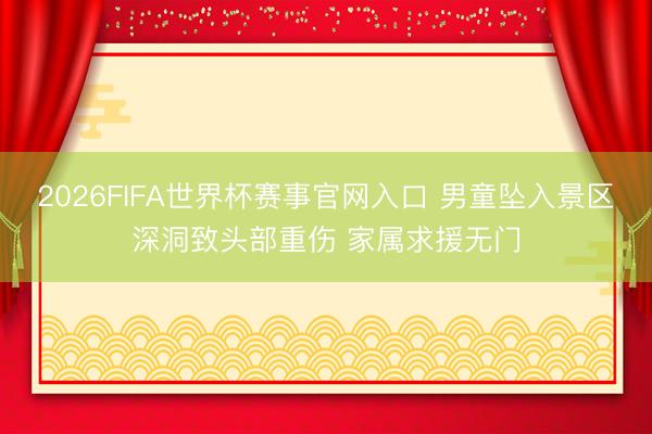 2026FIFA世界杯赛事官网入口 男童坠入景区深洞致头部重伤 家属求援无门
