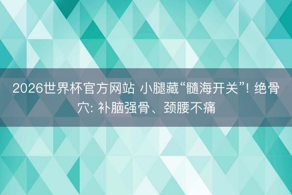 2026世界杯官方网站 小腿藏“髓海开关”! 绝骨穴: 补脑强骨、颈腰不痛